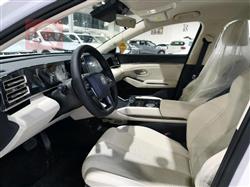 بي واي دي كوين L DM-i